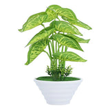 White Plant Std SG25-07