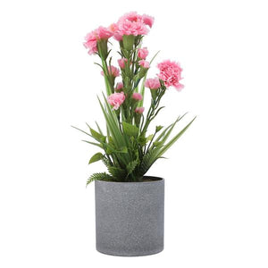 Plant Pink ZA-91