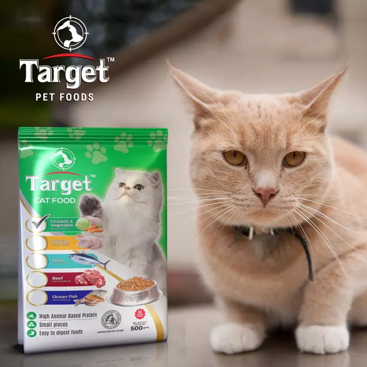 Target cat 2024